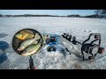 Ice Fishing CATCH and COOK!!! (So Delicious)