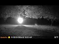 Insane Night Clarity! GardePro X60 Pro Max Trail Camera Review & Deer Footage 20260601 G