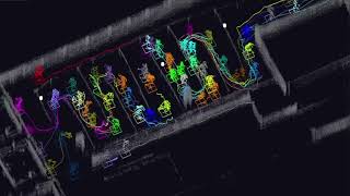 Lidar anonymous tracking of people queuing in passport control