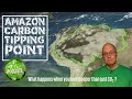 Amazon Rainforest: no longer the 'lungs of the earth'.