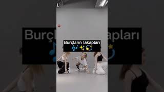 Burçların Lakapları❄🔥🎶