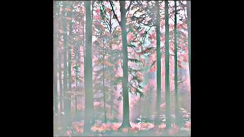 تلاوة جميلة - فهد الكندري