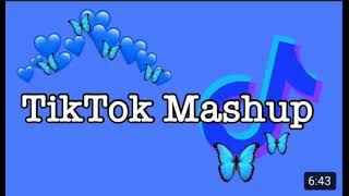 TikTok mashup 2021 February