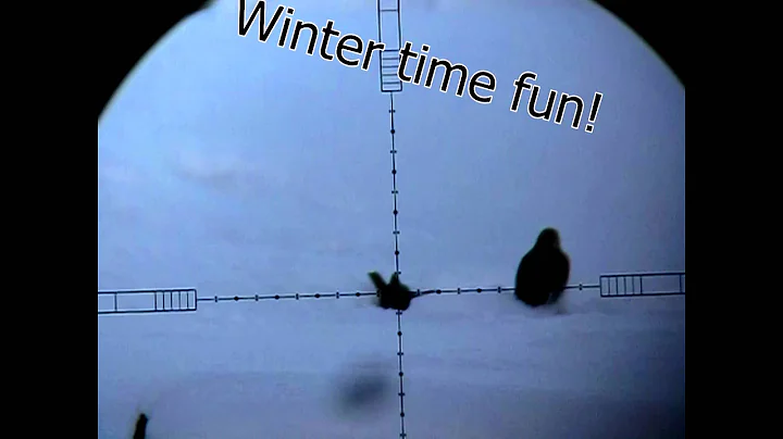 Clearing the farm of starlings!