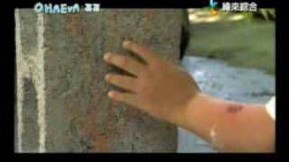 OHAEVA•哥哥10-4