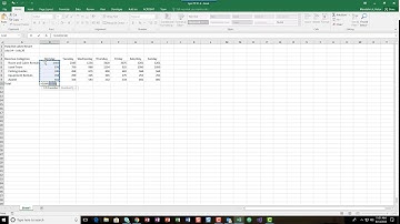 Excel Ch 1 PP 1-1 (Steps 1-8)