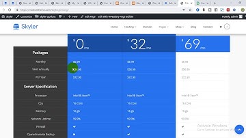 Pricing Table v4 Setup "Skyler | Multipurpose Hosting WordPress Theme"