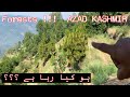 Forests Azad Kashmir | YEAH AAKHIR KIA HO RAHA HAE
