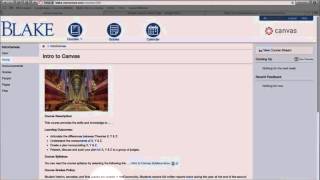 Navigating a Course as a Student using the Student View in Canvas