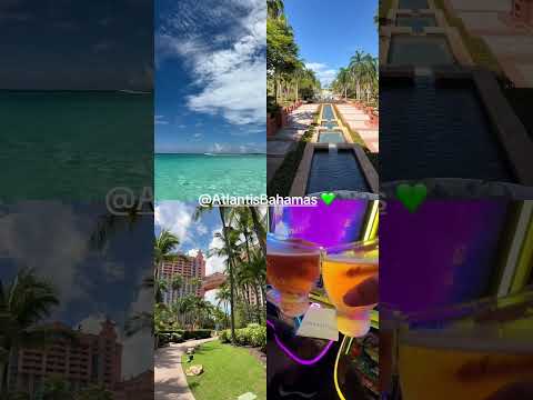 Was sind VIP-Reise-Prämien und wer qualifiziert sich?