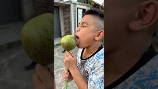 Mom Gives Baby A Giant Lollipop Funny Short