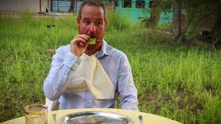 Picnic Stop Animation Pixilation Short Film