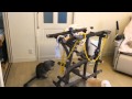 猫とオウムのじゃれ合い