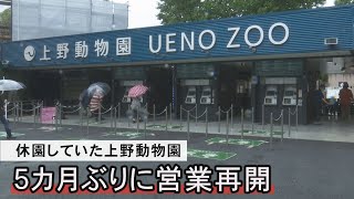 休園していた上野動物園、５カ月ぶりに営業再開