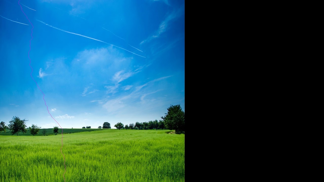 grassland dynamic seam carving