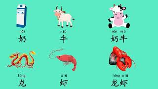 Animals with funny names in Mandarin 中文名字有趣的动物（Part1）,动物词卡,汉语教学/MrSunMandarin