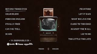 Teksuo - Endless (Full Album)