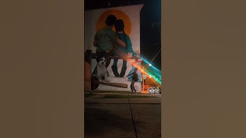 the world my canvas #shorts #music #artistic