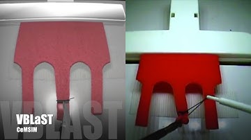 VBLaST Virtual Ligating Loop Simulator