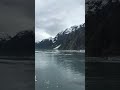 Alaska glaciers.  My Norwegian Cruise gig.