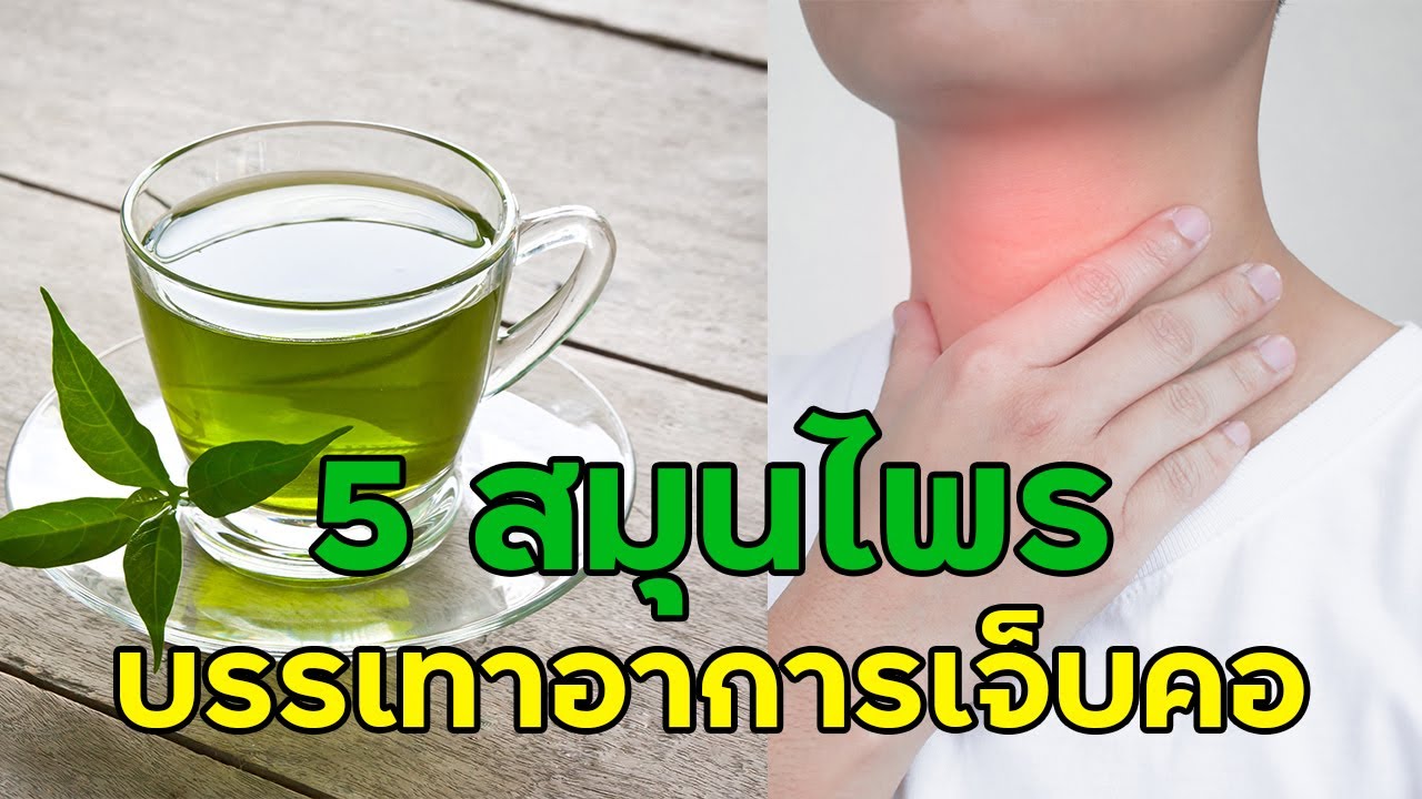 5 สมุนไพร สรรพคุณแก้เจ็บคอ | สังเคราะห์เนื้อหาที่เกี่ยวข้องอาหาร แก้ เจ็บ คอที่ถูกต้องที่สุด