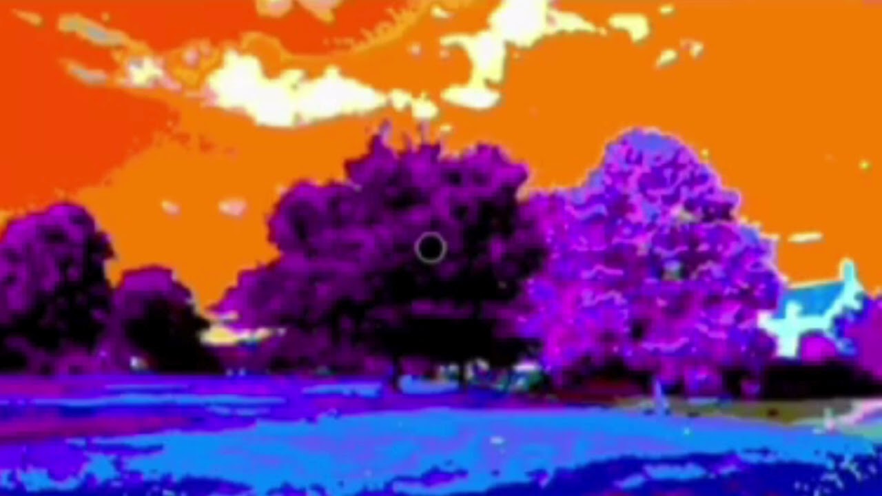 Negative Afterimages: The Science Behind the Optical Illusion