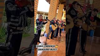 Fiesta en Tequila convivencia ? #mariachi #tequila #mexico #viajes #jalisco #cultura #convivencia