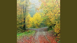 Stella Sutton Net Worth