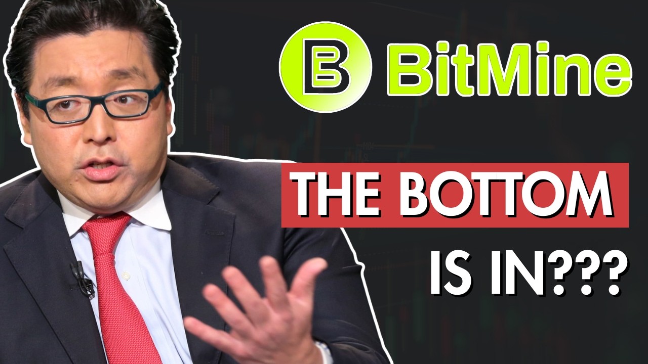 Дно BMNR уже достигнуто? Когда BMNR достигнет отметки в 51,86 доллара?