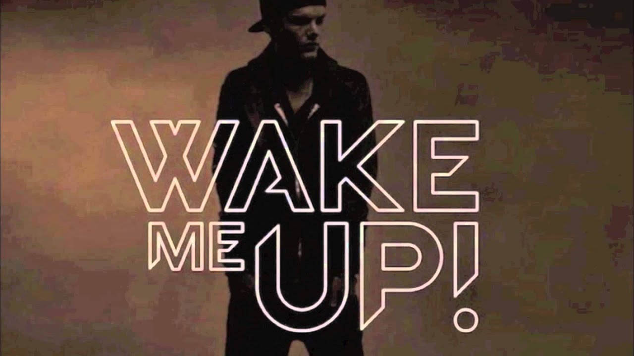 Học Tiếng Anh qua lời bài hát Wake Me Up của ca sĩ Avicii
