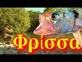 Frissa or Sardelomanna River Spin Fishing Greece! Get In!