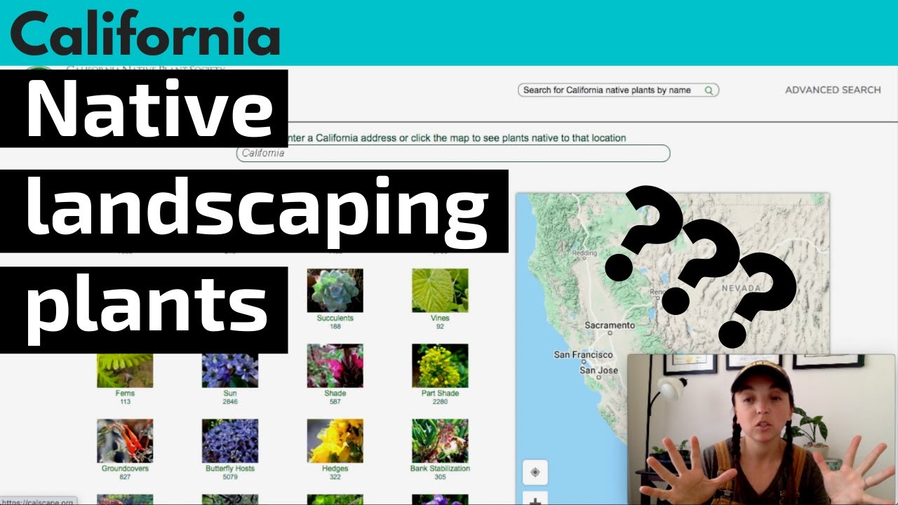 How to find which plants are native in your area Habitat garden YouTube