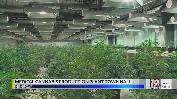 Medical Cannabis Production Plant Town Hall