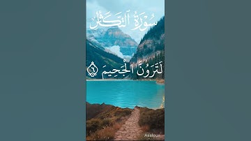سورة التكاثر بصوت القارئ الشيخ عبدالرحمن السديس
