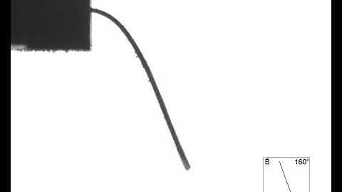 Magnetoelastic Sheet