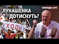 Протести в Білорусі: чи дотиснуть Лукашенка? | Свобода live