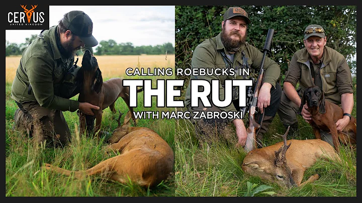 CLOSE CALL! | THE ROEBUCK RUT