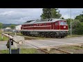 Ludmilla, V 60 und Vectron Dual Mode in Rottleberode