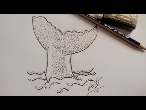 الرسم بالتنقيط للمبتدئين رسم بالتنقيط 