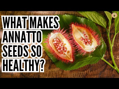 Exploring Annatto's Holistic Benefits