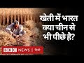 Farmer Protest: India खेती से पैदावार के मामले में America और China से भी पीछे क्यों है? (BBC Hindi)