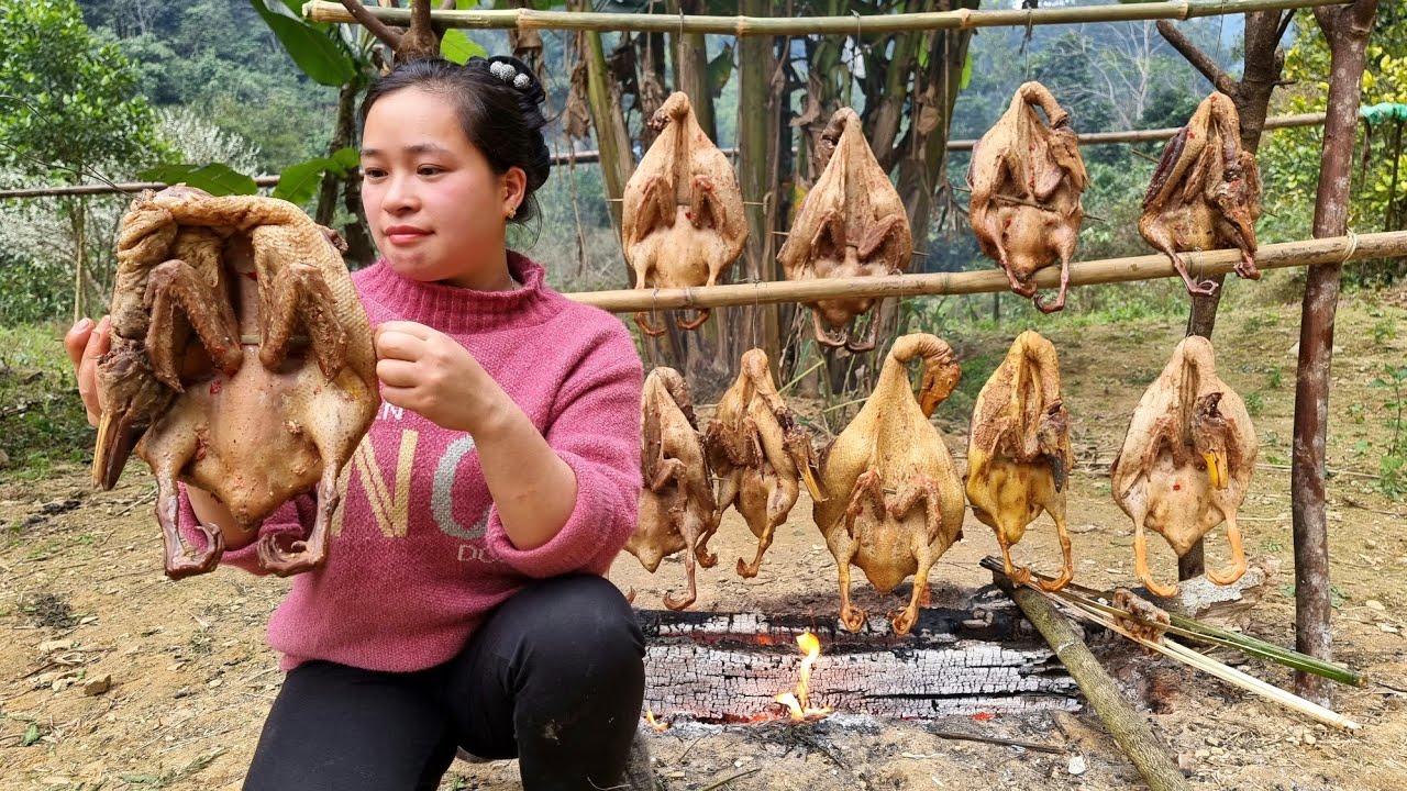 EL CAMPO ARROYO EL GATO DE JAMAO AL NORTE ES INCREÍBLE