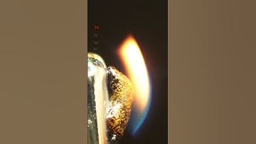 Thread vs Fire in Macro#macrofriendly#macroclips#macroart#satisfyingvideos#oddlysatisfying #asmr