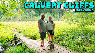 Hiking in CALVERT CLIFFS STATE PARK/ our last day in Maryland