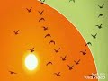 حبك نار وعيوني ضميانه