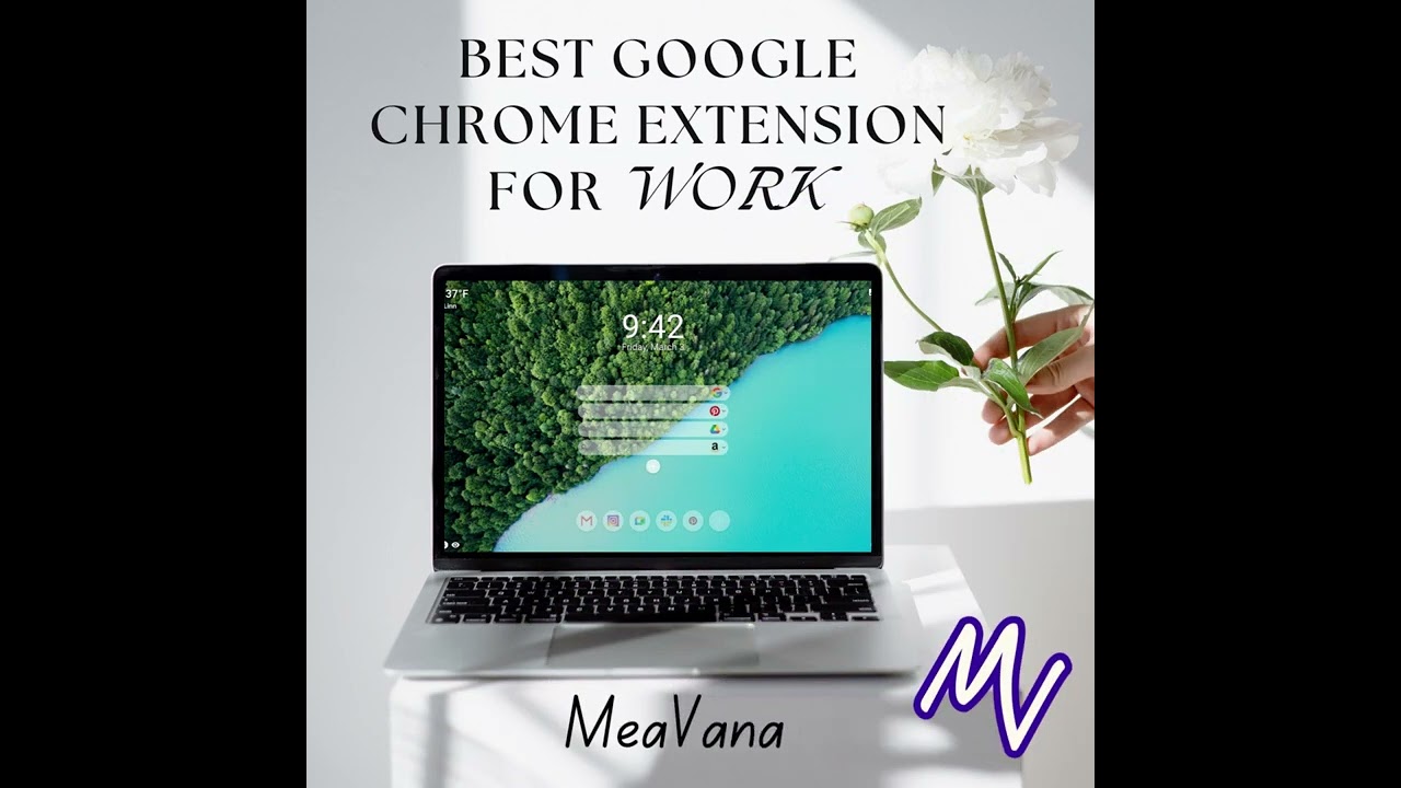 MeaVana: The Best Chrome Extension for Work