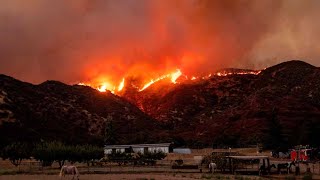 In the u.s. state of #california, a raging #wildfire has seen
thousands residents evacuated. firefighters are battling to control
blaze just outside l...