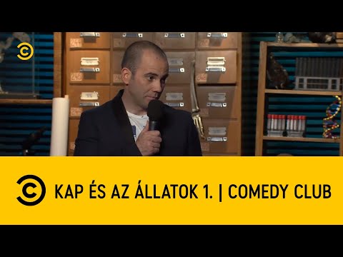 KAP és az