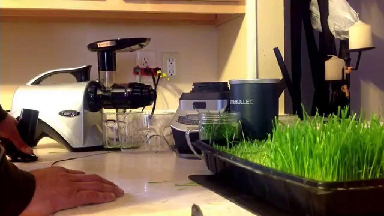 How to juice wheatgrass using an Omega NC800HDS and a nutribullet