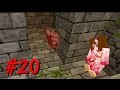 【マインクラフト】　Captive Minecraft　実績解除で広げよう！　パート20　【朱梨】